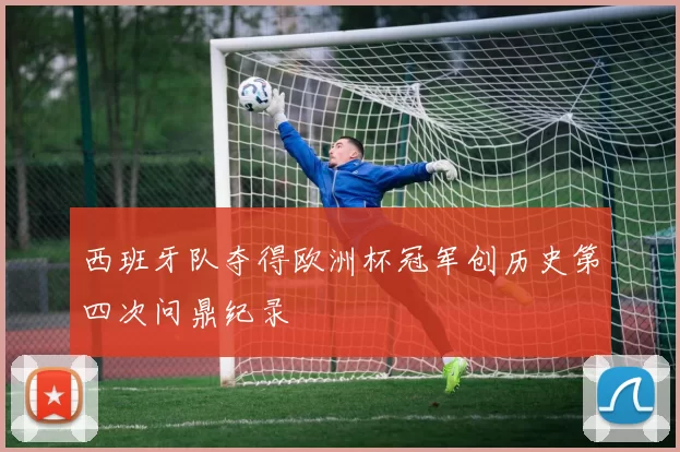 西班牙队夺得欧洲杯冠军创历史第四次问鼎纪录