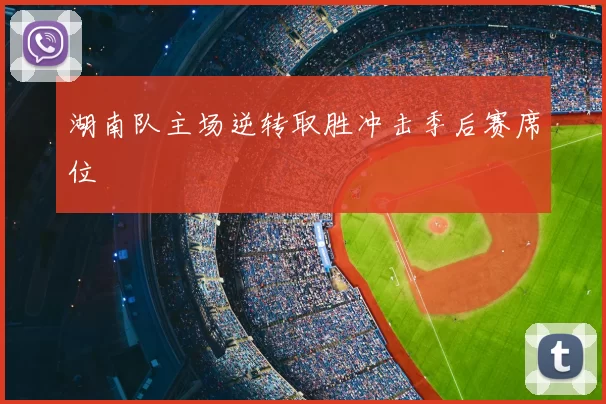 湖南队主场逆转取胜冲击季后赛席位